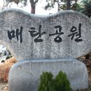 경기도 수원시 영통구 매탄로 이미지