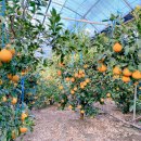 해~랑펜션 이미지