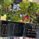 숙성21