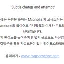 맥썸원(MagSomeOne)