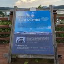 괭이바다 | 임자도 갈때 꼭 들렀다 가볼만한곳 태평염전 백수해안도로 짱뚱어해수욕장 정보