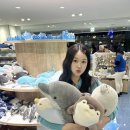 렌블링 퓨어블 애니여주st 원데이 축고정렌즈 추천 오션블루 애쉬브라운 후기