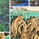 삼동농장 이미지