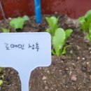 양종원 이미지