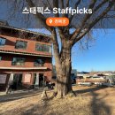 스태픽스 | 서촌 경복궁역 테라스 카페 스태픽스 내돈내산 후기