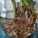 비원도서관 이미지