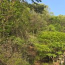 찬 스크린 골프 이미지