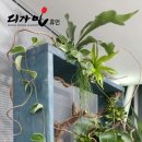 휴먼인테리어 이미지