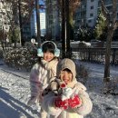 수아주말지낸이야기 이미지