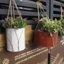 공주중동초등학교 이미지