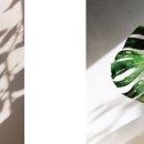 초록초록 가드닝 이미지