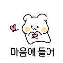 애니멀 살롱 이미지