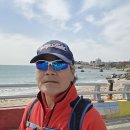 진하해수욕장 이미지