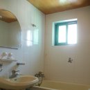 썬플라워 이미지