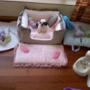 엔젤하우스 이미지