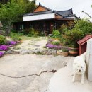 우곡사 저수지 이미지