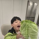 이안이가 가져온 배추로 만든 저녁 반찬 이미지