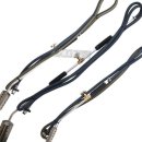 신바람이 이미지