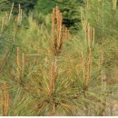 서부농약사 이미지