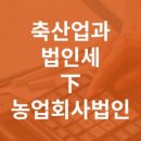 하온회계법인 이미지
