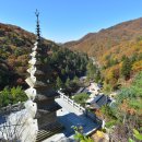 정선군 도전 이미지