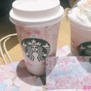 스타백스 네이버블로그