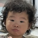 파마의집 | 16개월 17개월 아기 파마 후기 존귀탱 군산 미용실