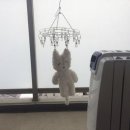 여르메