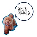 D00230 | 더티바이 / 1초면 빨래 준비 끝! 하트캡슐 세탁세제 캡슐세제 1초세제! 실사용 후기