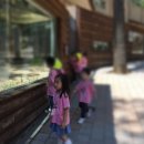개구리도시락 네이버블로그