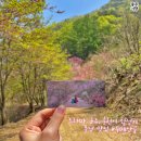 두메농장 네이버블로그