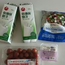 여행 후 첫 주간일상 (집밥 일기, 시차적응 실패주간, 태디 중성화수술, 공복 운동)