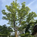 과거길매점