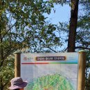 고성산 정상 전망대 이미지