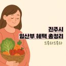 진주시 보건소 의약팀 | 진주시 임산부 혜택 총정리! A부터 Z까지(임산부바우처, 임산부 친환경농산물 등)
