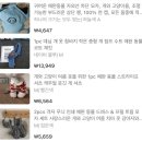 TEMU 테무 실패없는 추천템 강아지용품 생활용품
