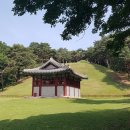 한강시민공원(자연학습장) | 동구릉 숲길 특별개방 후기 | 현충일에 만난 조선왕릉의 감동