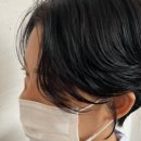조대복사 이미지