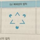 프래그난츠