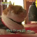상귀농장 이미지