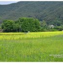 구름따라 그곳에가면 이미지