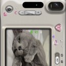 오월의 그루밍 이미지