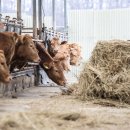 우리축사 이미지