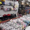 로시놀 스키샵 이미지