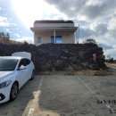 제주 알모 이미지