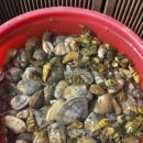 이원스테이 이미지