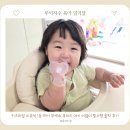 키즈마일 이유식 1등 퍼기 무색소 큐피드 아기 이앓이 필수템 솔직 후기
