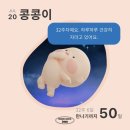 코지베이킹랩 | 1박2일 부산 여행, 대전 여행, 임산부 성심당, 정자 리스 카페, 롯데문화센터 쿠킹클래스, 베이킹 클래스