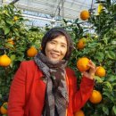 어부농장 이미지