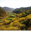 화전마을회관 이미지